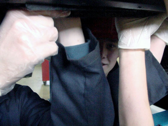 Team Work 2008