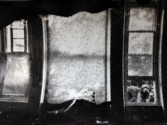 Hampstead Lane 1979