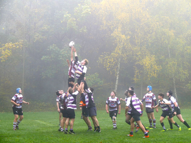 Woodford 2015