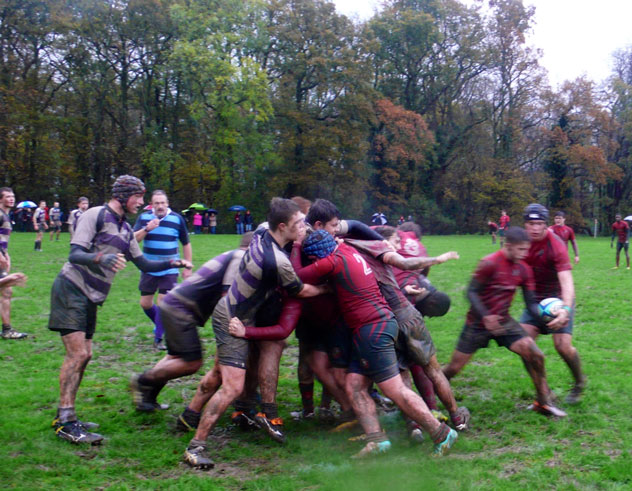 Harlow 2014